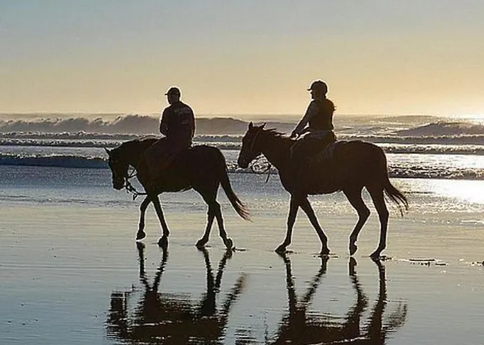 Mobil 4 Personnes Avec Terrasse à Dolus-d'oléron - Api-1-52-1442 Dolus d'Oléron